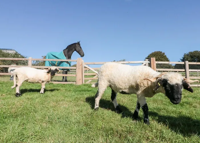 Foxes Den Nyaraló *