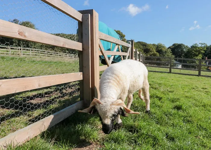 Foxes Den Nyaraló Allerston