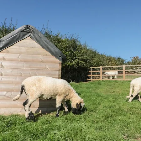 Dom wakacyjny Foxes Den