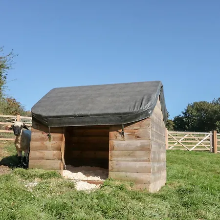 Foxes Den *