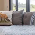 Сasa de vacaciones Foxes Den *